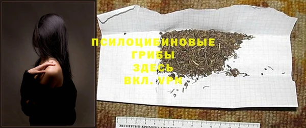 амф Покров