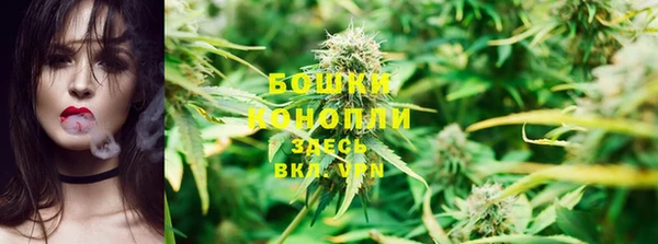 индика Лиски
