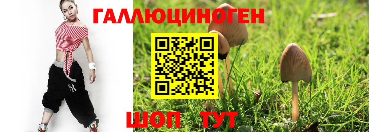как найти закладки  Галлюциногенные грибы GOLDEN TEACHER  Вход с VPN  Луховицы  Псилоцибиновые грибы мухоморы 